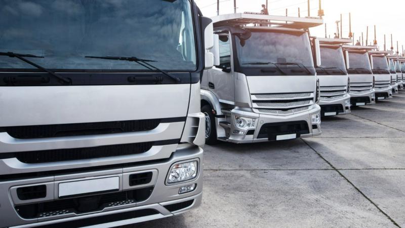 Transportadoras em SP: Como Escolher a Melhor Opção para Suas Necessidades